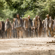 Rick might be gone, but Zombies are forever... well, decomposition allowing.